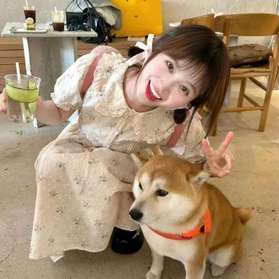 甜木兰第三季